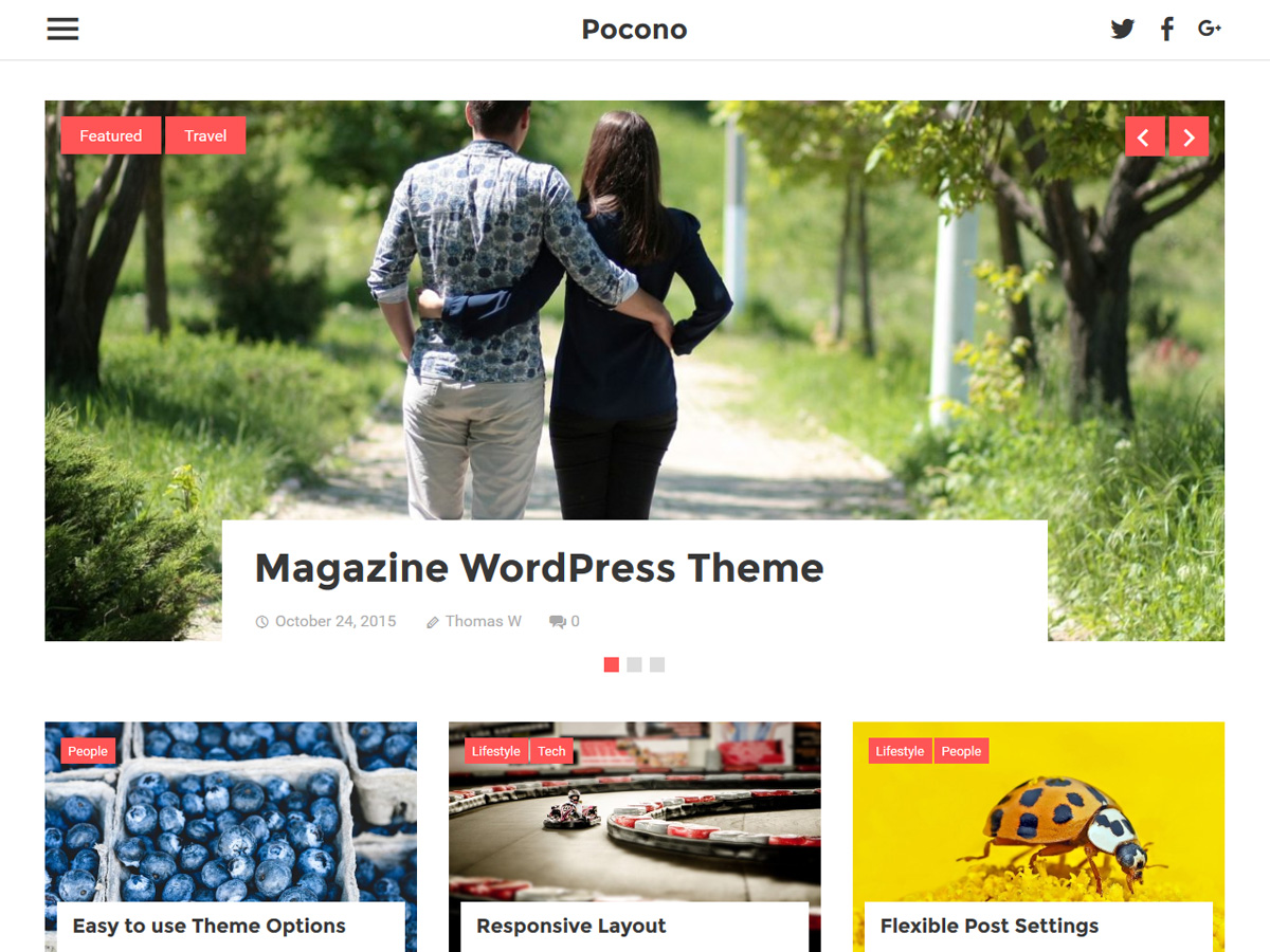 Pocono Preview Wordpress Theme - Rating, Reviews, Preview, Demo & Download