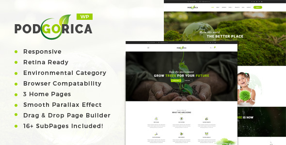 Podgorica Preview Wordpress Theme - Rating, Reviews, Preview, Demo & Download