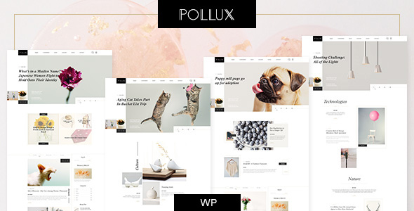 Pollux Preview Wordpress Theme - Rating, Reviews, Preview, Demo & Download