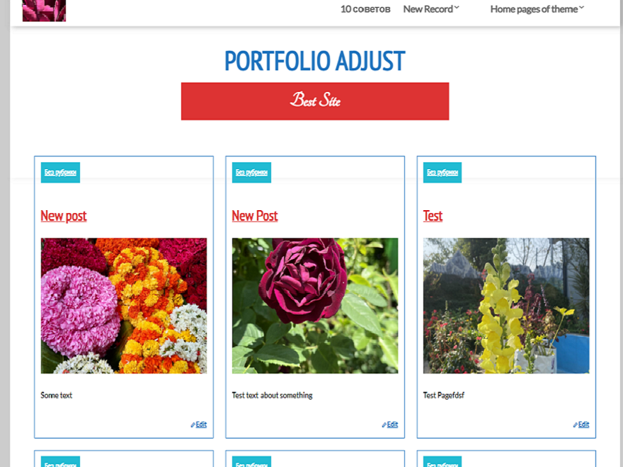 Portfolio Adjust Preview Wordpress Theme - Rating, Reviews, Preview, Demo & Download
