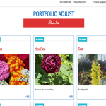 Portfolio Adjust