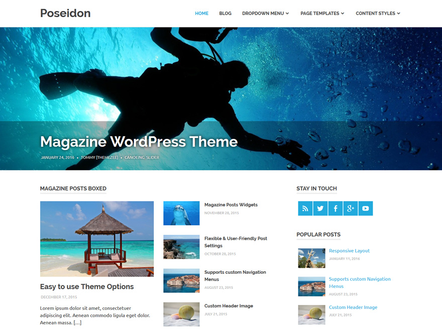 Poseidon Preview Wordpress Theme - Rating, Reviews, Preview, Demo & Download