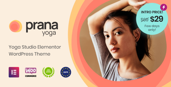 Prana Yoga Preview Wordpress Theme - Rating, Reviews, Preview, Demo & Download