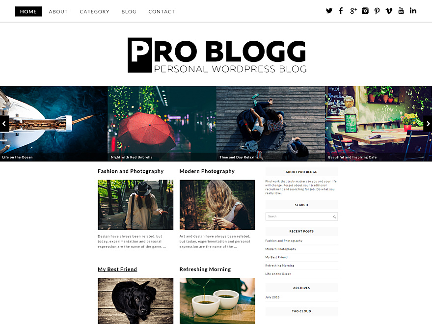 Pro Blogg Preview Wordpress Theme - Rating, Reviews, Preview, Demo & Download