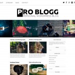 Pro Blogg