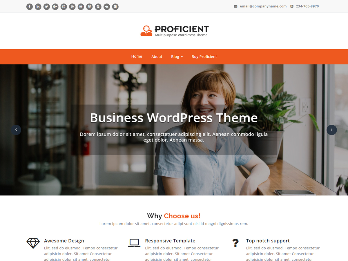Proficient Preview Wordpress Theme - Rating, Reviews, Preview, Demo & Download