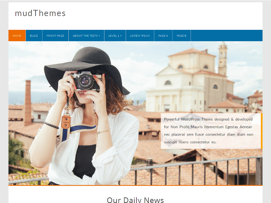 Profound Preview Wordpress Theme - Rating, Reviews, Preview, Demo & Download