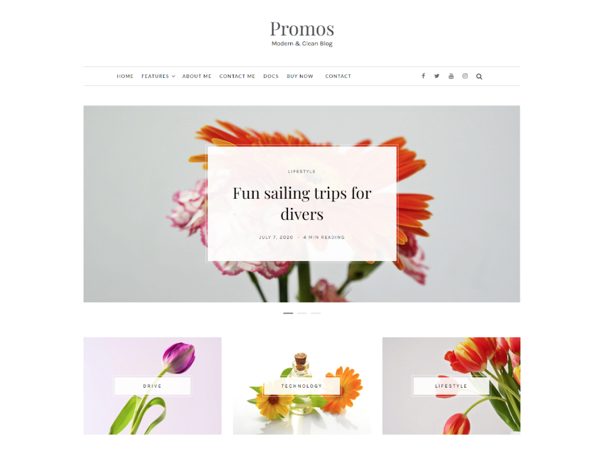 Promos Lite Preview Wordpress Theme - Rating, Reviews, Preview, Demo & Download