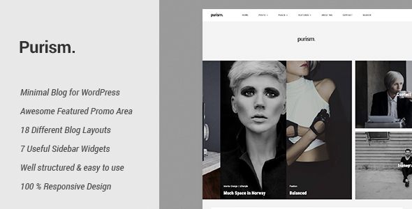 Purism Preview Wordpress Theme - Rating, Reviews, Preview, Demo & Download