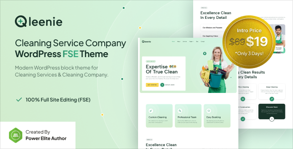 Qleenie Preview Wordpress Theme - Rating, Reviews, Preview, Demo & Download