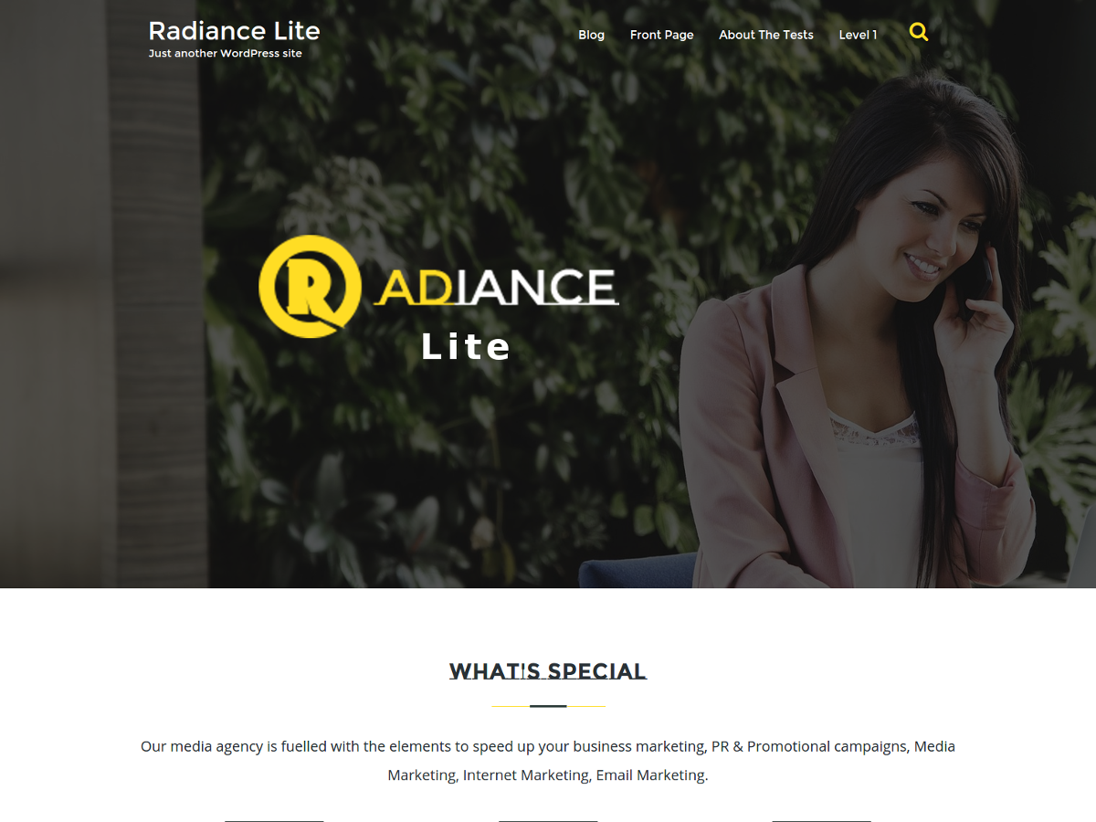 Radiance Lite Preview Wordpress Theme - Rating, Reviews, Preview, Demo & Download