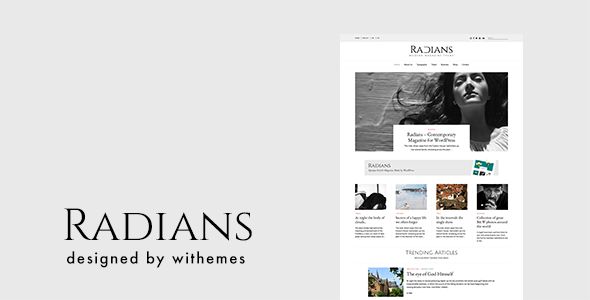 Radians Preview Wordpress Theme - Rating, Reviews, Preview, Demo & Download