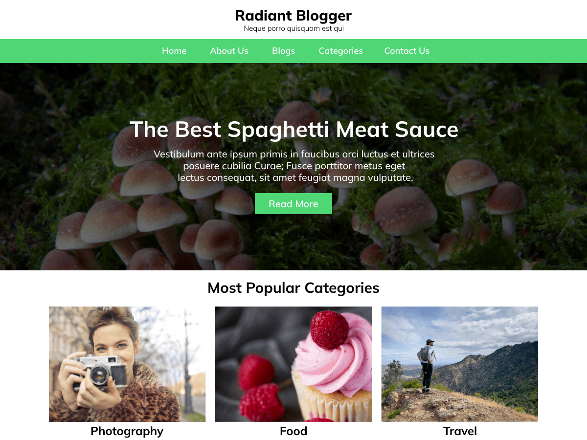 Radiant Blogger Preview Wordpress Theme - Rating, Reviews, Preview, Demo & Download