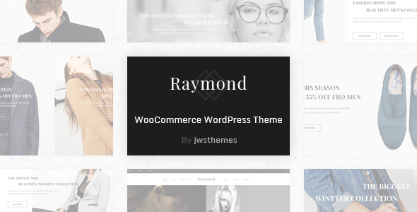Raymond Preview Wordpress Theme - Rating, Reviews, Preview, Demo & Download