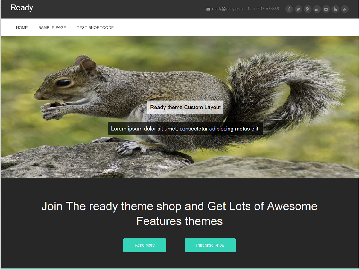 Ready Preview Wordpress Theme - Rating, Reviews, Preview, Demo & Download