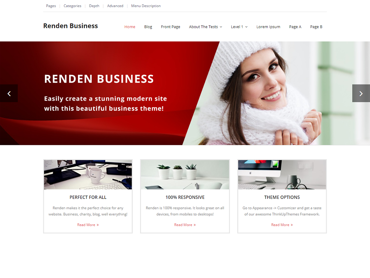 Renden Business Preview Wordpress Theme - Rating, Reviews, Preview, Demo & Download