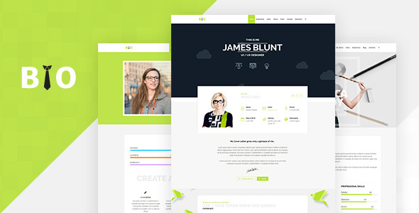 Resume One Preview Wordpress Theme - Rating, Reviews, Preview, Demo & Download