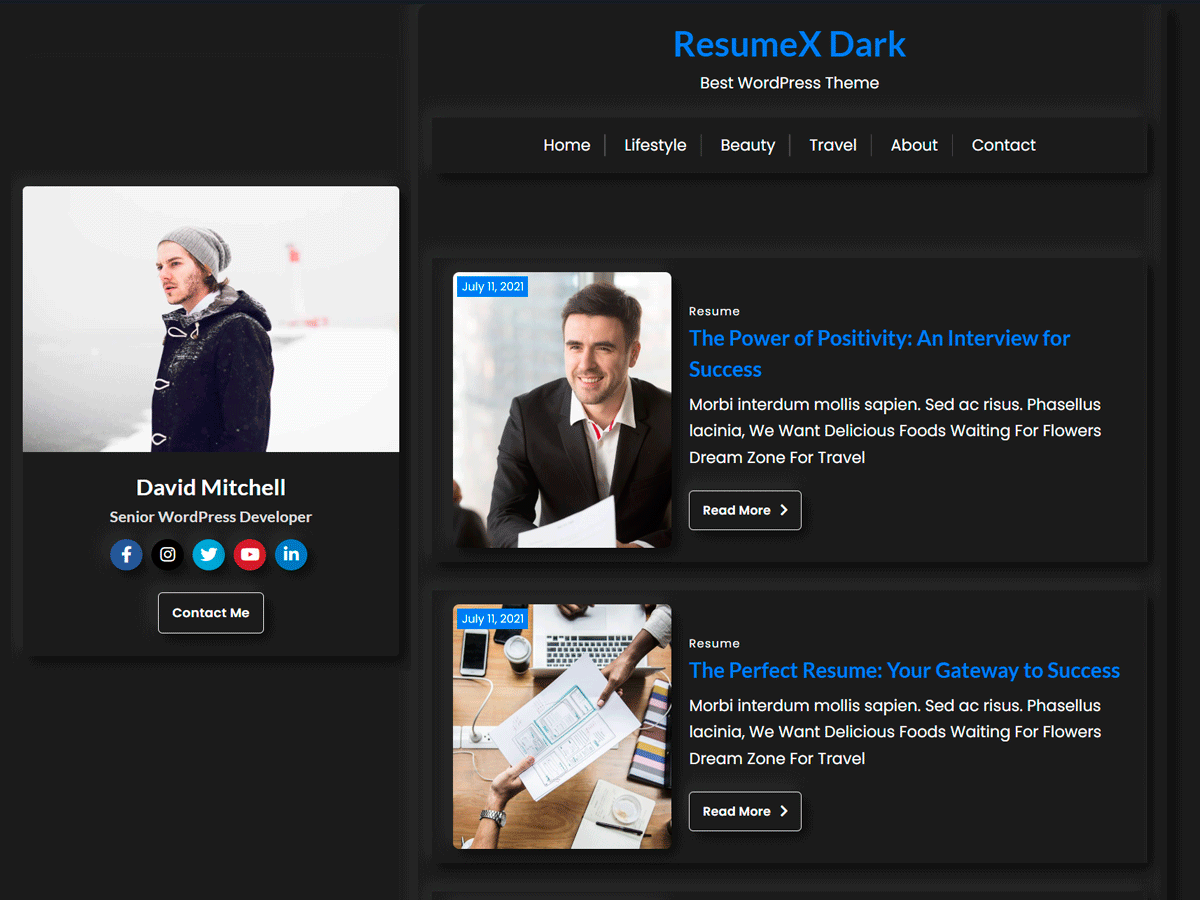 Resumex Dark Preview Wordpress Theme - Rating, Reviews, Preview, Demo & Download
