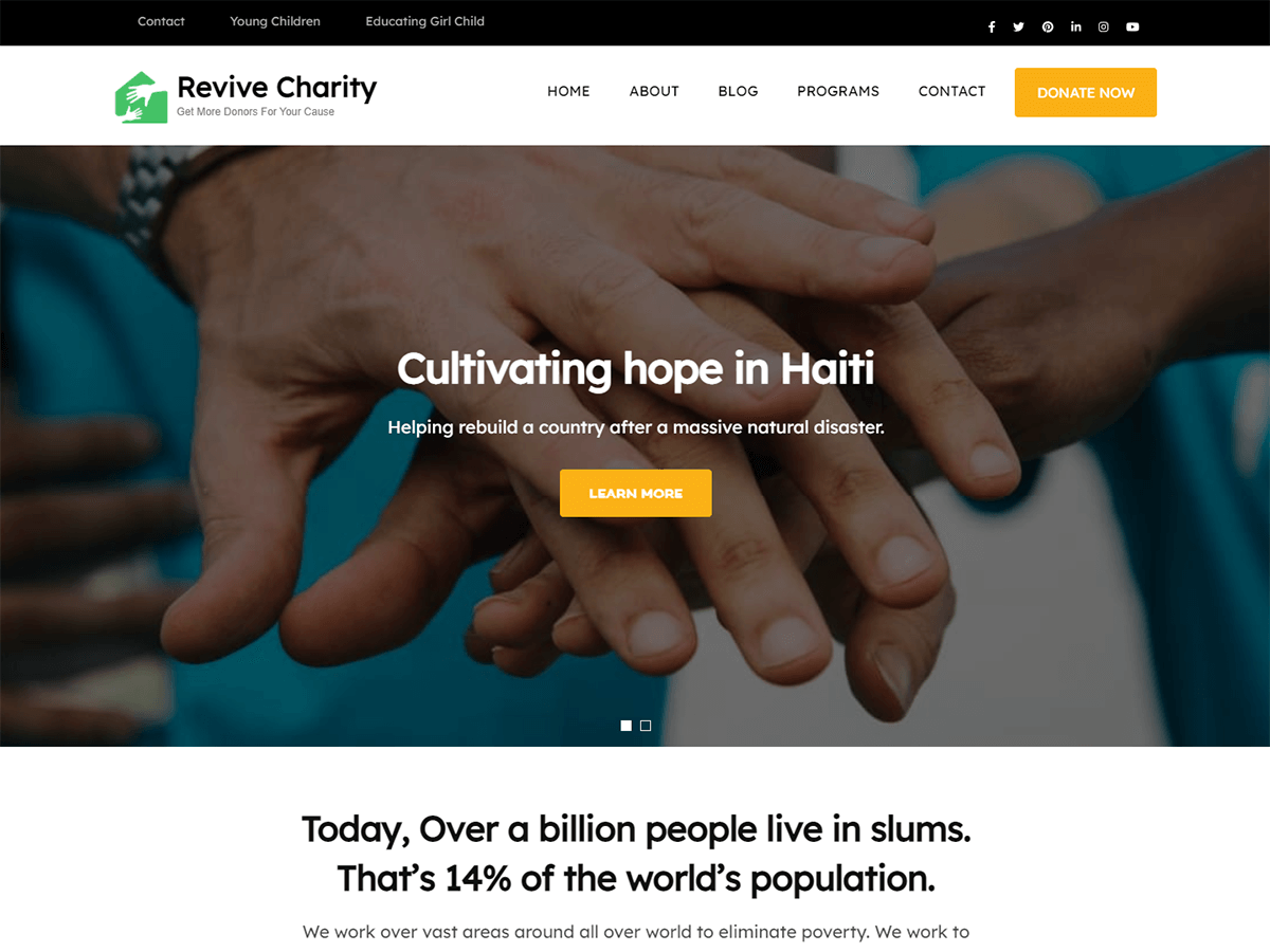 Revive Charity Preview Wordpress Theme - Rating, Reviews, Preview, Demo & Download