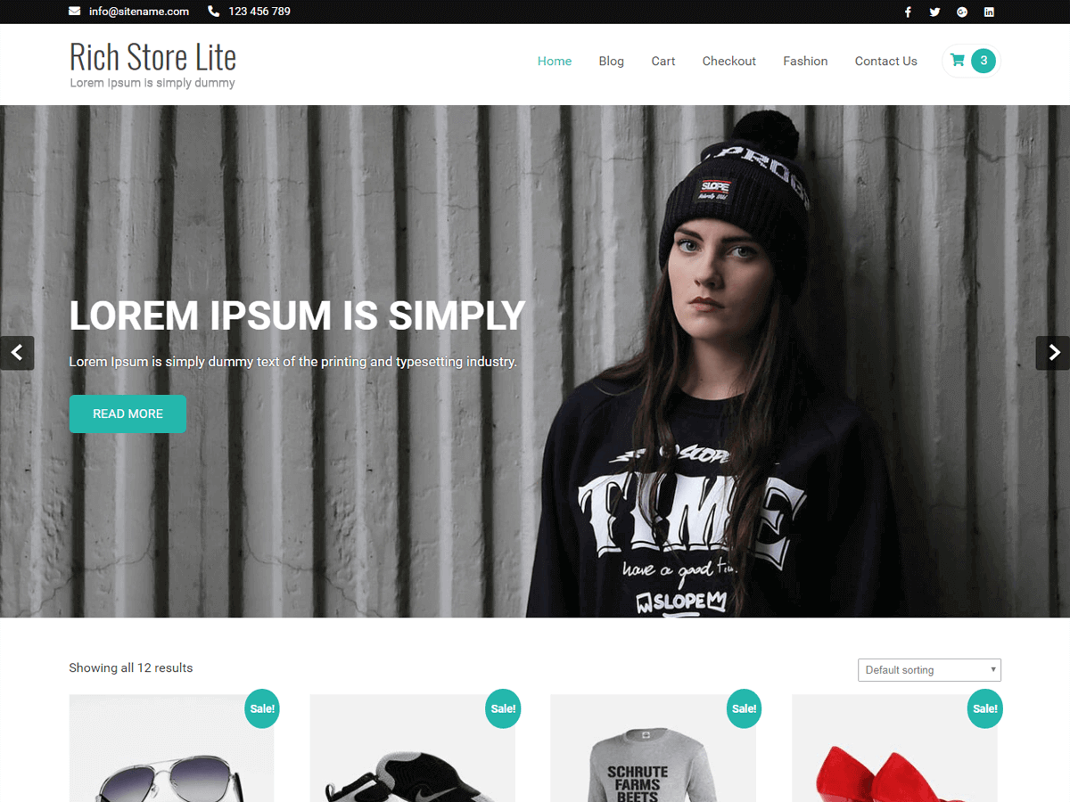 Rich Store Preview Wordpress Theme - Rating, Reviews, Preview, Demo & Download