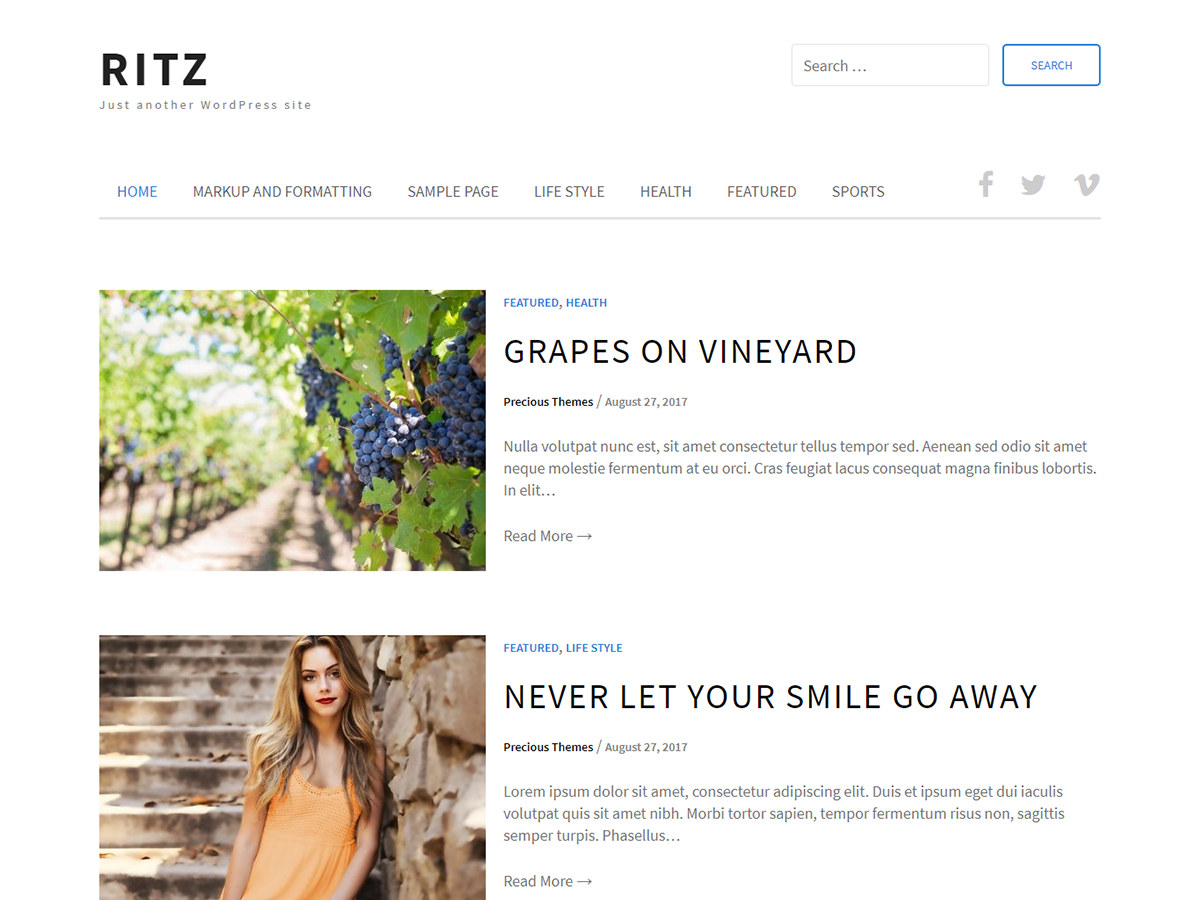 Ritz Preview Wordpress Theme - Rating, Reviews, Preview, Demo & Download