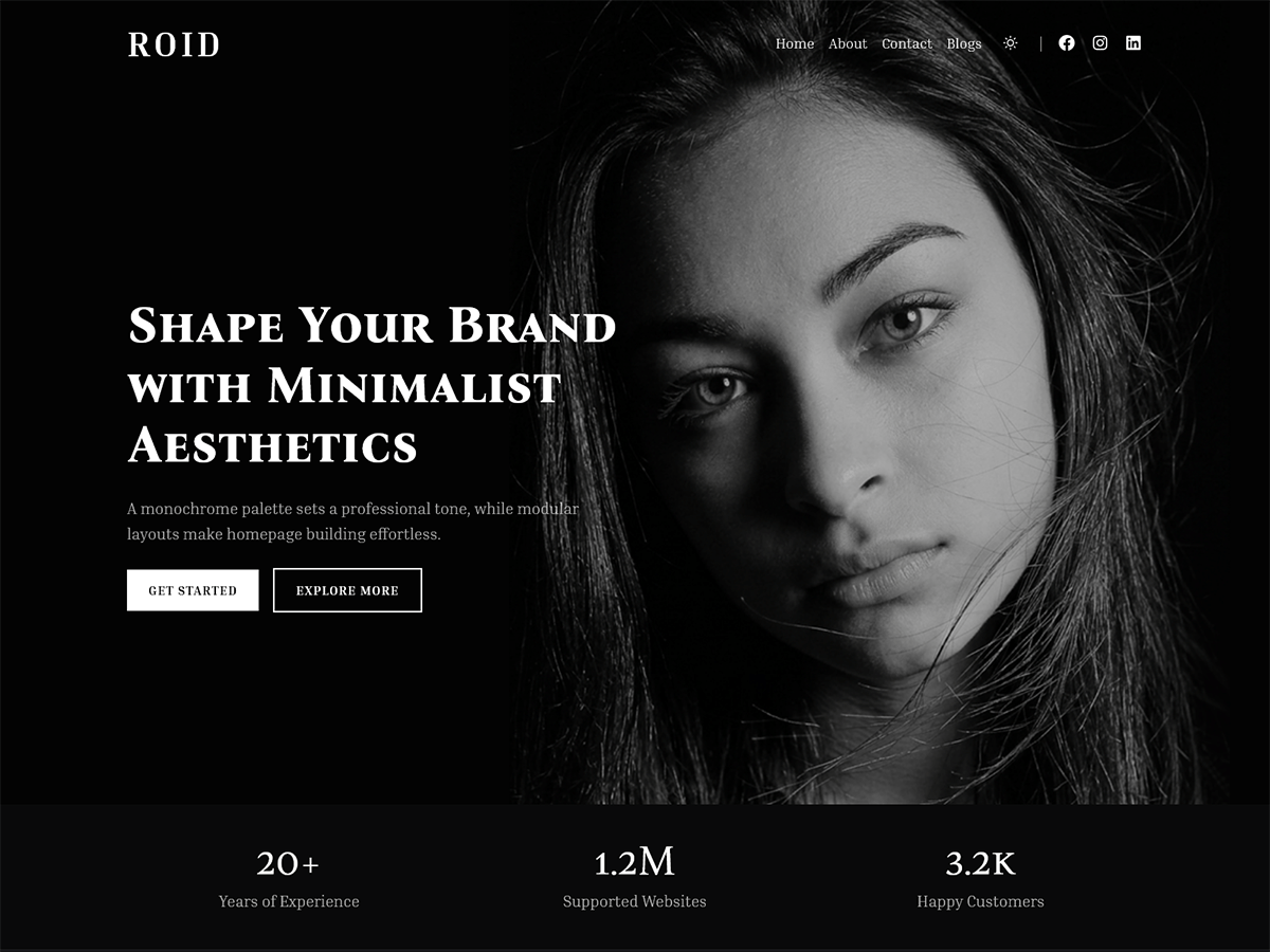 Roid Preview Wordpress Theme - Rating, Reviews, Preview, Demo & Download