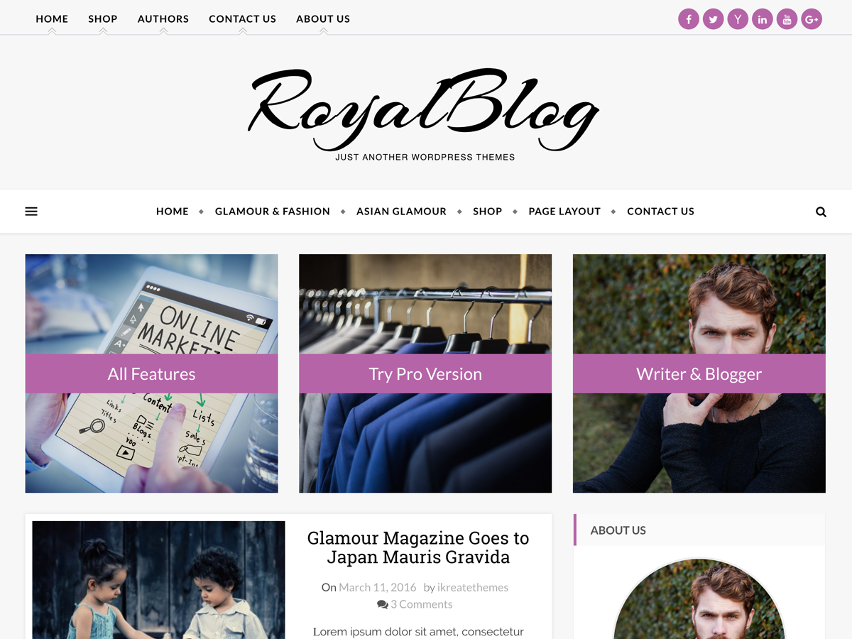 Royal Blog Preview Wordpress Theme - Rating, Reviews, Preview, Demo & Download