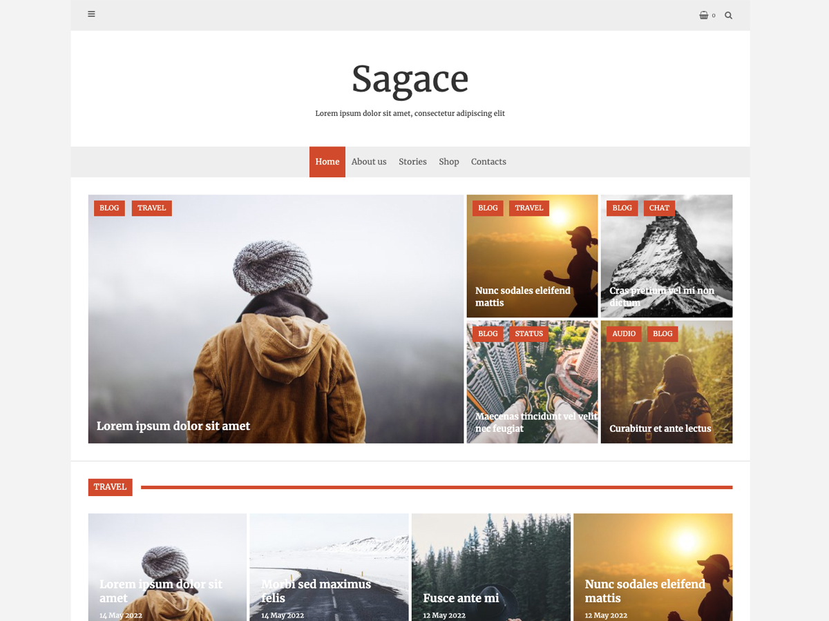 Sagace Preview Wordpress Theme - Rating, Reviews, Preview, Demo & Download