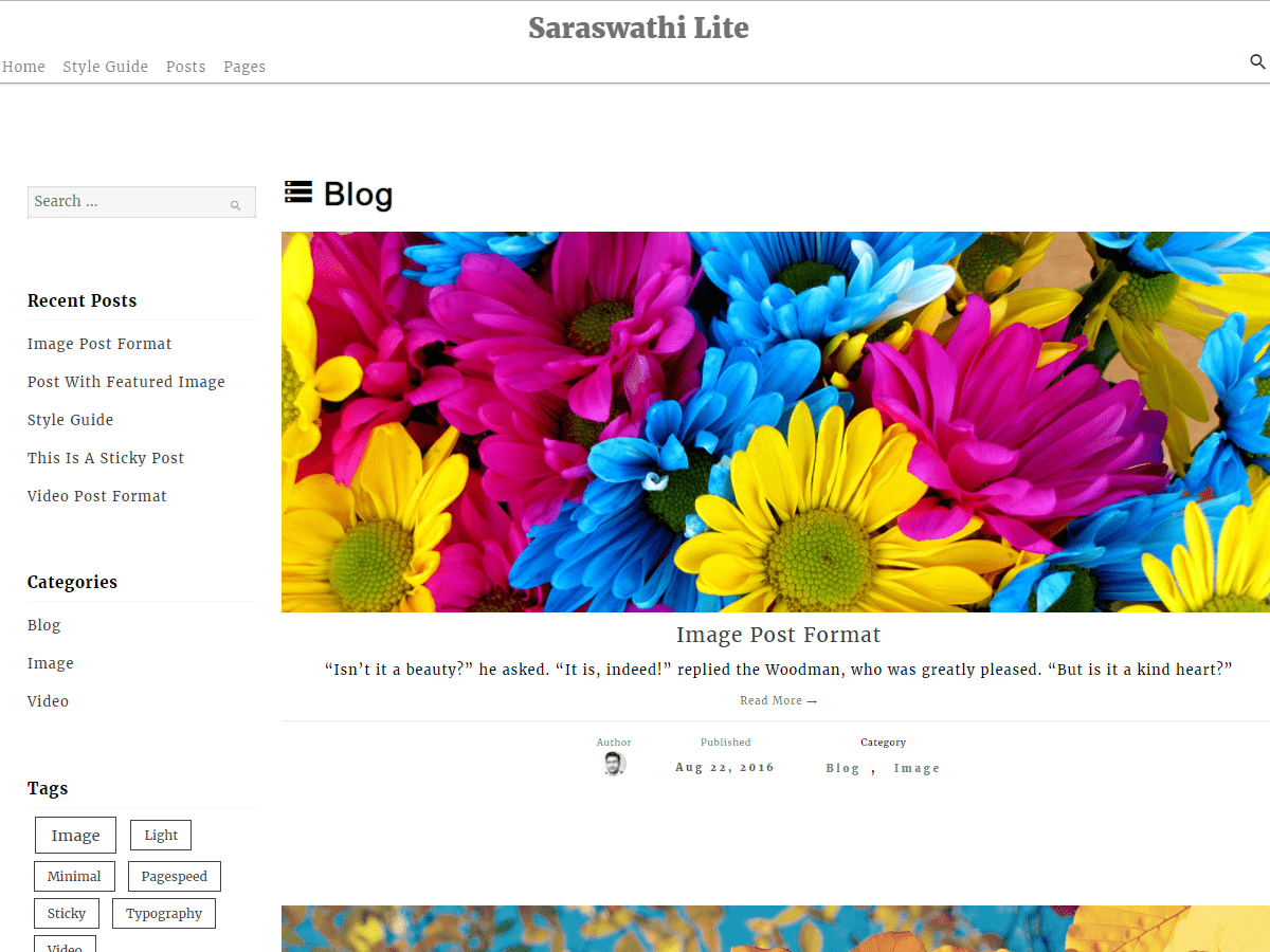 Saraswathi Lite Preview Wordpress Theme - Rating, Reviews, Preview, Demo & Download