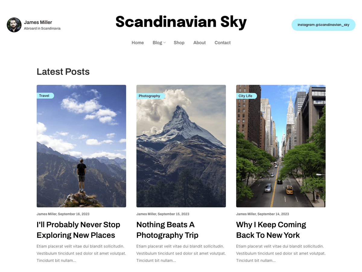 Scandinavian Sky Preview Wordpress Theme - Rating, Reviews, Preview, Demo & Download