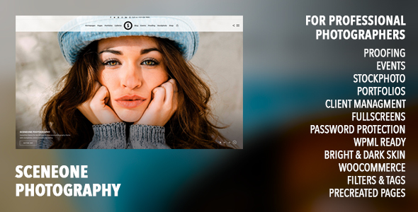 SceneOne Preview Wordpress Theme - Rating, Reviews, Preview, Demo & Download