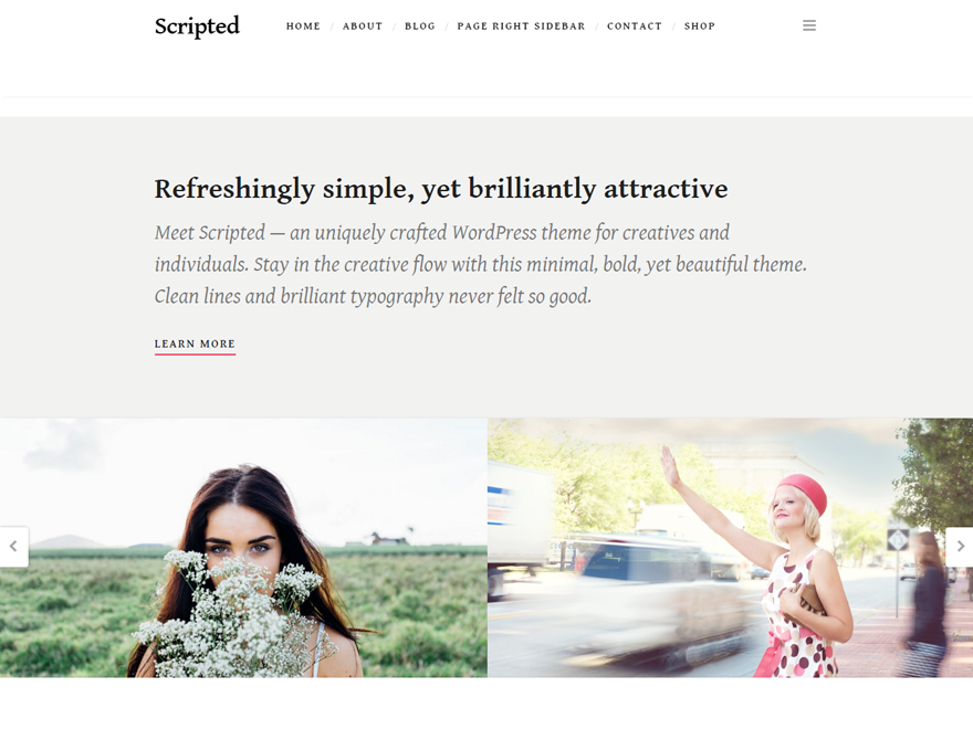 Scripted Preview Wordpress Theme - Rating, Reviews, Preview, Demo & Download