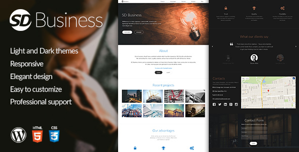 SD Business Preview Wordpress Theme - Rating, Reviews, Preview, Demo & Download
