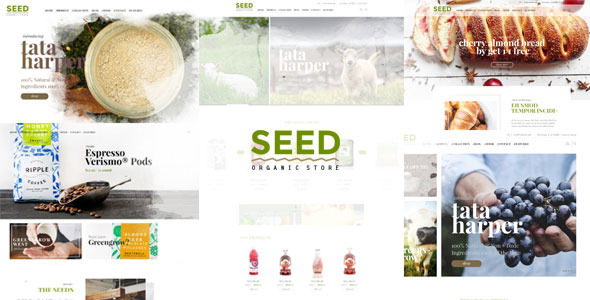 SEED Preview Wordpress Theme - Rating, Reviews, Preview, Demo & Download