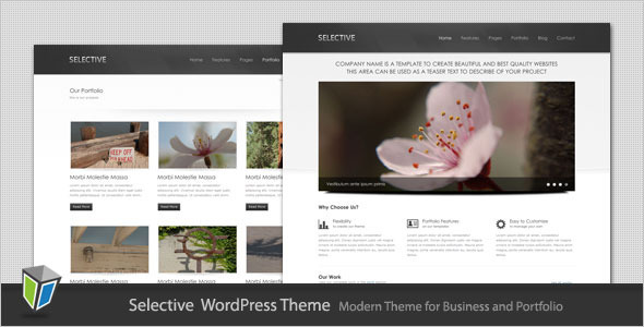 Selective Preview Wordpress Theme - Rating, Reviews, Preview, Demo & Download