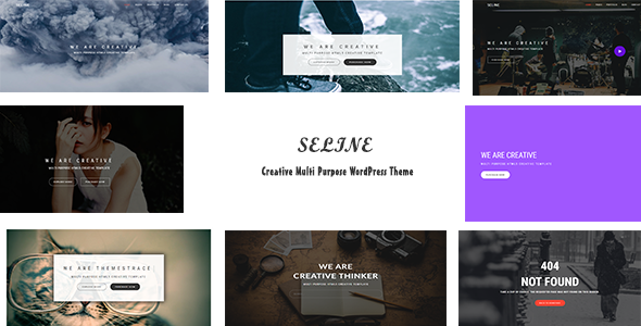 Seline Preview Wordpress Theme - Rating, Reviews, Preview, Demo & Download