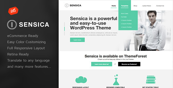 Sensica Preview Wordpress Theme - Rating, Reviews, Preview, Demo & Download