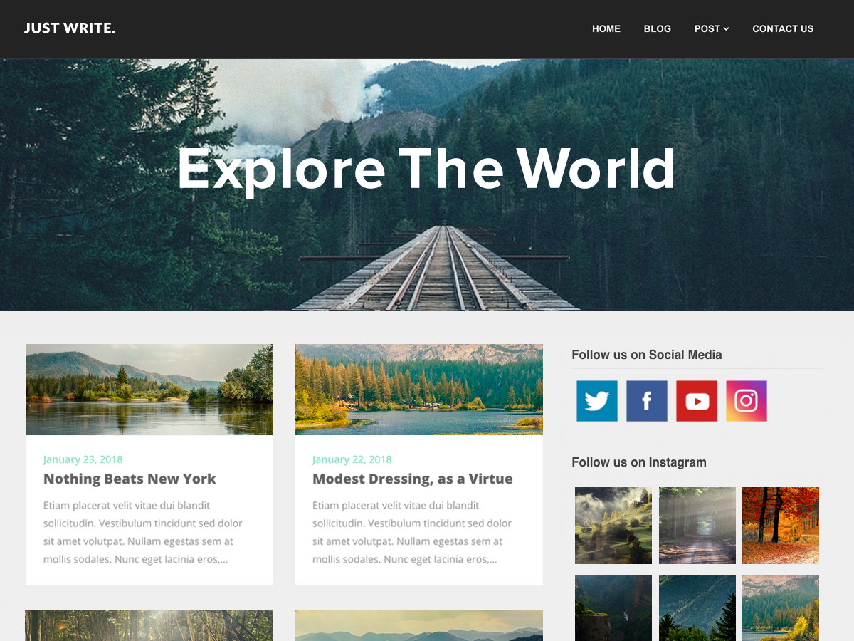 SEO Writers Preview Wordpress Theme - Rating, Reviews, Preview, Demo & Download