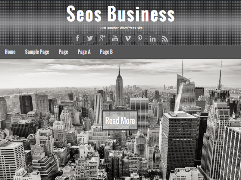 Seos Business Preview Wordpress Theme - Rating, Reviews, Preview, Demo & Download