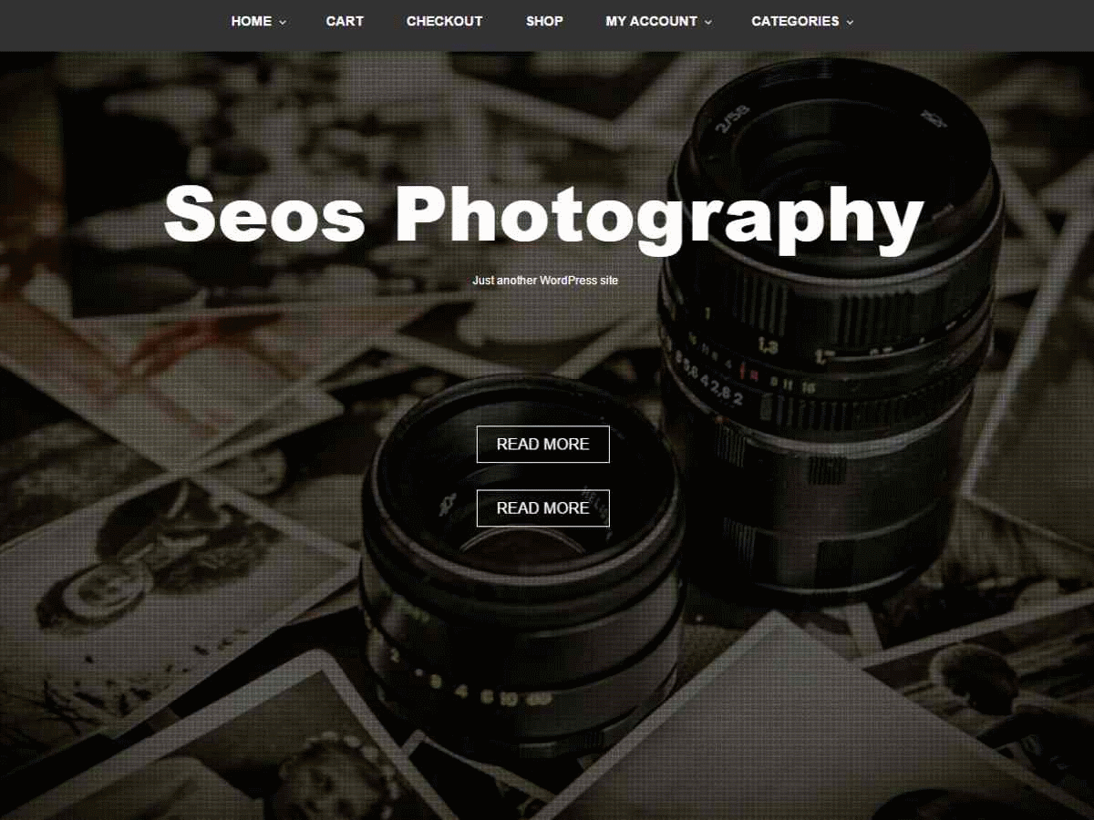 Seos Photography Preview Wordpress Theme - Rating, Reviews, Preview, Demo & Download