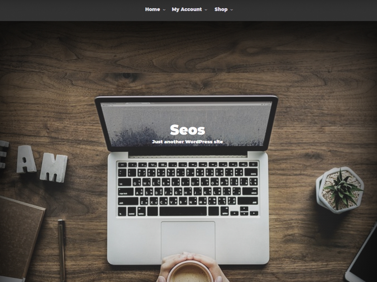 SEOS Preview Wordpress Theme - Rating, Reviews, Preview, Demo & Download