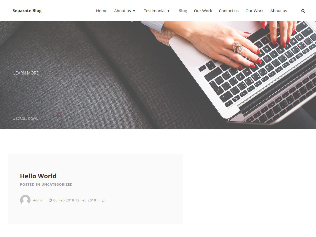 Separate Blog Preview Wordpress Theme - Rating, Reviews, Preview, Demo & Download