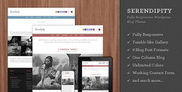 Serendipity Preview Wordpress Theme - Rating, Reviews, Preview, Demo & Download