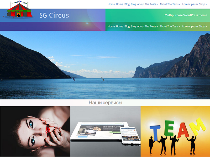 SG Circus Preview Wordpress Theme - Rating, Reviews, Preview, Demo & Download