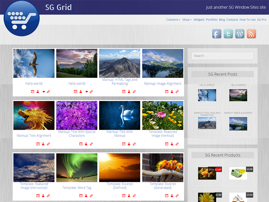 SG Grid Preview Wordpress Theme - Rating, Reviews, Preview, Demo & Download