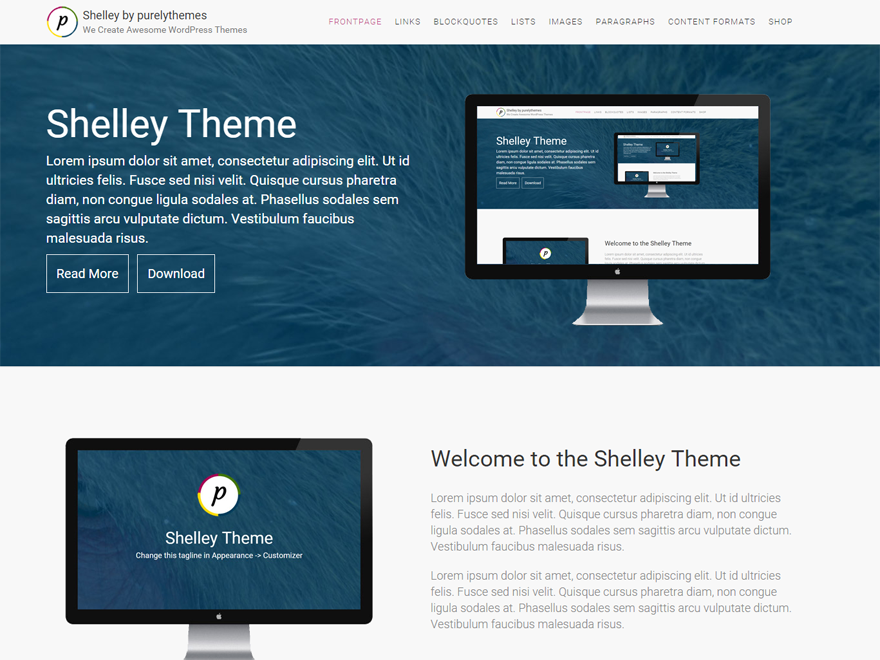 Shelley Preview Wordpress Theme - Rating, Reviews, Preview, Demo & Download
