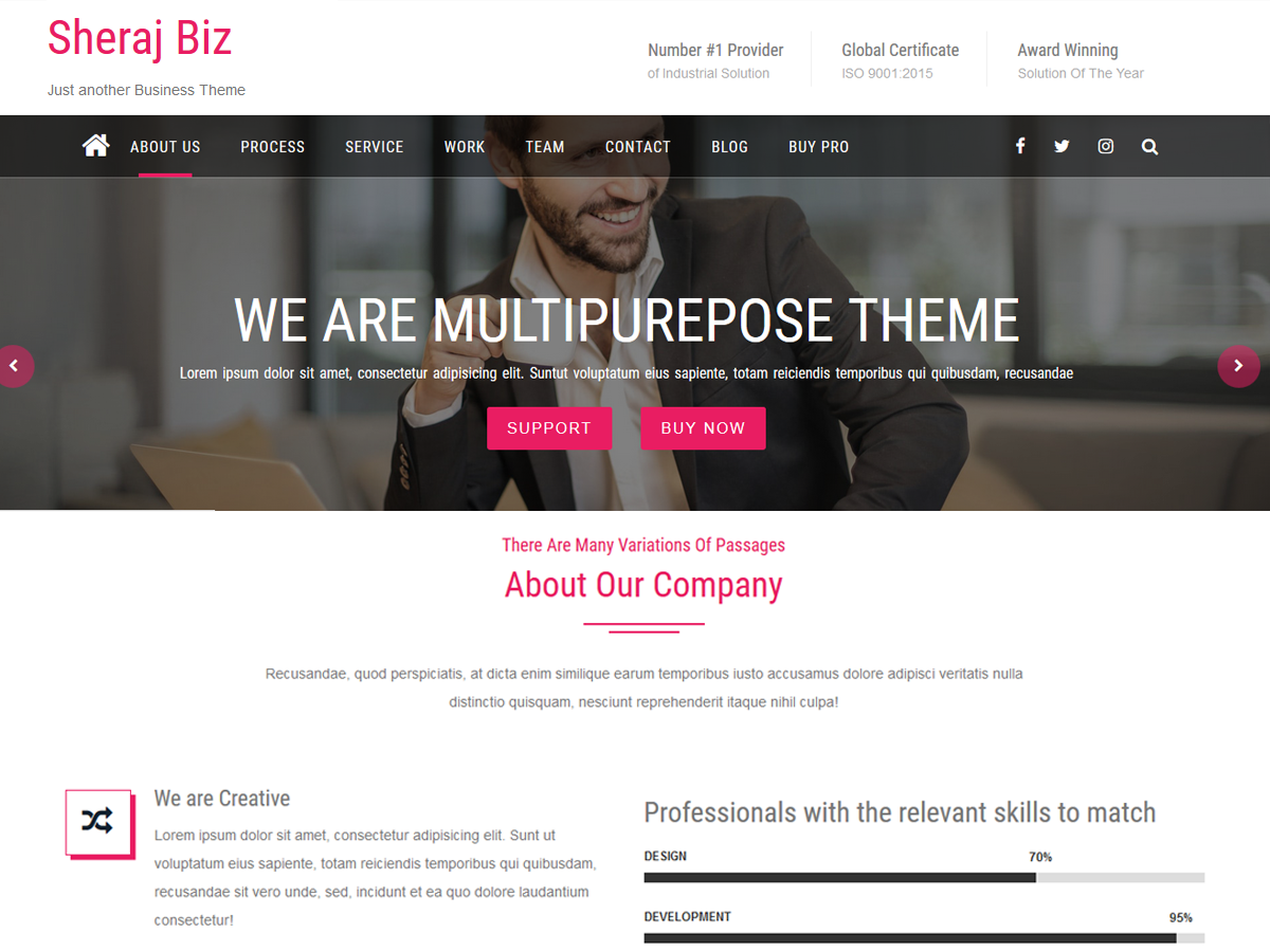 Sheraj Biz Preview Wordpress Theme - Rating, Reviews, Preview, Demo & Download