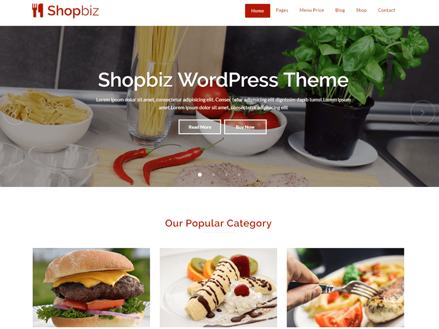 Shopbiz Lite Preview Wordpress Theme - Rating, Reviews, Preview, Demo & Download
