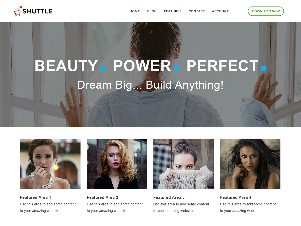 Shuttle Business Preview Wordpress Theme - Rating, Reviews, Preview, Demo & Download