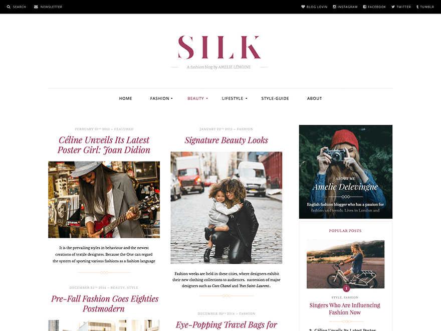 Silk Lite Preview Wordpress Theme - Rating, Reviews, Preview, Demo & Download
